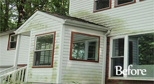 House siding before power washing — green and dirty